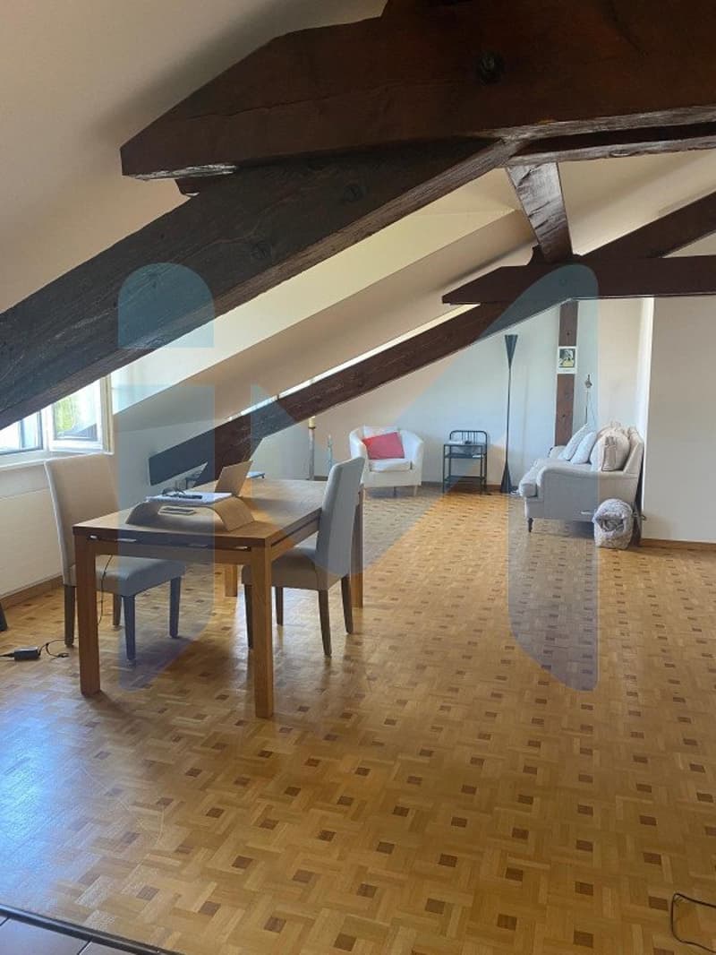 Appartement de 4,5 pièces au 5eme étage situé à Genève 1205 (4)