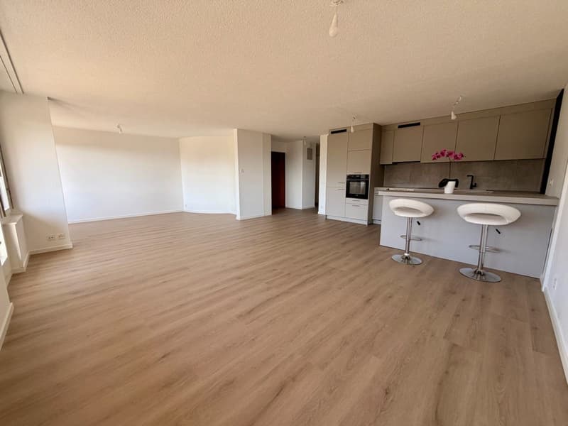 Bel appartement familial dans une copropriété bien entretenue (2)