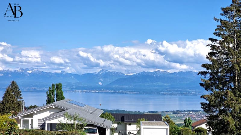 En exclusivité: Villa contemporaine et familiale à 12 minutes de Nyon (5)