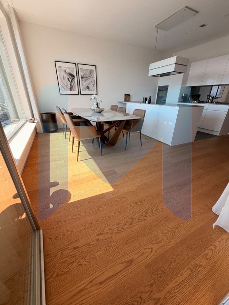 AUSSERGEWÖHNLICHES PENTHOUSE - Oberstes Stockwerk (1)