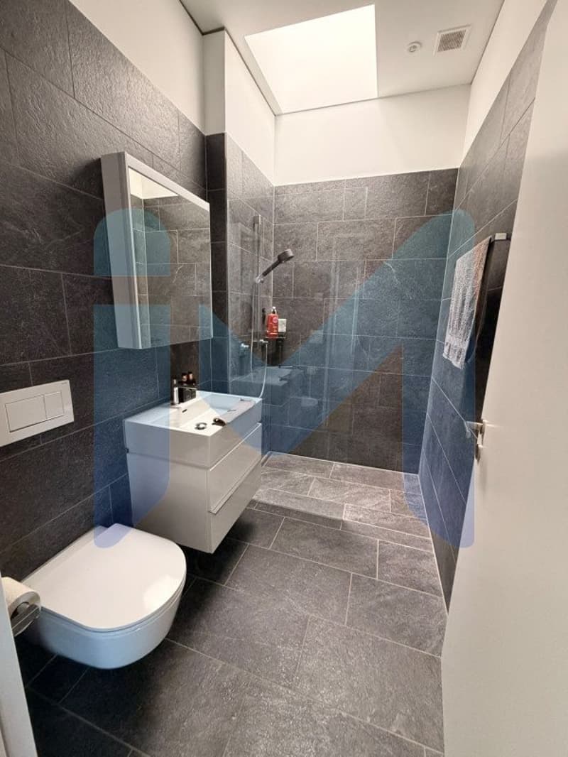 AUSSERGEWÖHNLICHES PENTHOUSE - Oberstes Stockwerk (9)