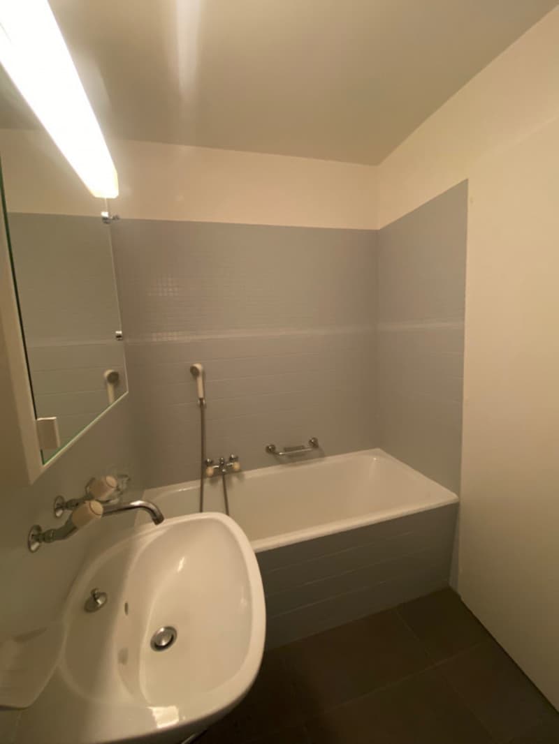 Appartement de 2 pièces - Ch. de Rovéréaz 14, 1012 Lausanne (9)