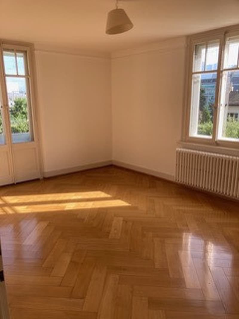 Très belle maison locative des années 30 , 3 appts, 582 m2 terrain (4)