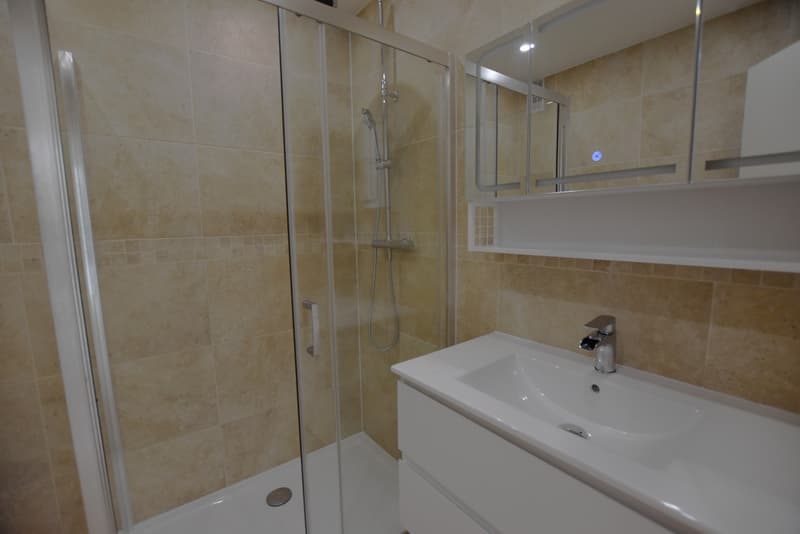 CHARMANT APPARTEMENT ENTIEREMENT RENOVE AU CENTRE DE VEIGY-FONCENEX (8)