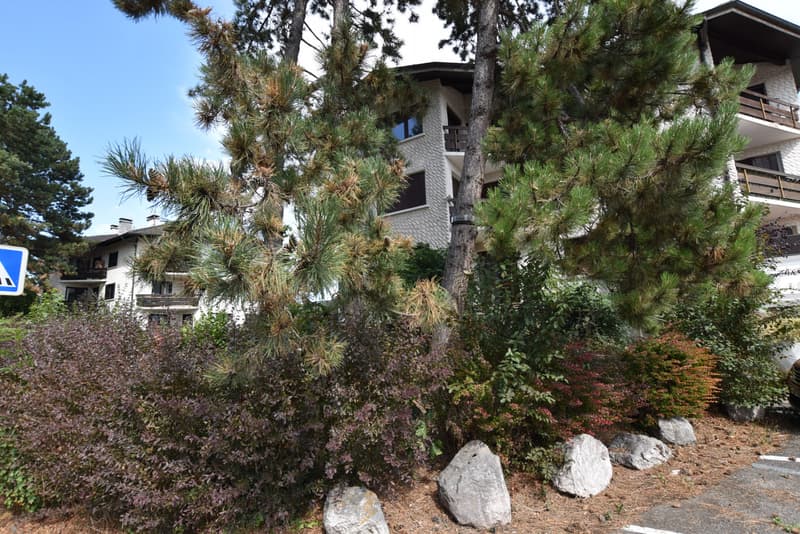 CHARMANT APPARTEMENT ENTIEREMENT RENOVE AU CENTRE DE VEIGY-FONCENEX (1)