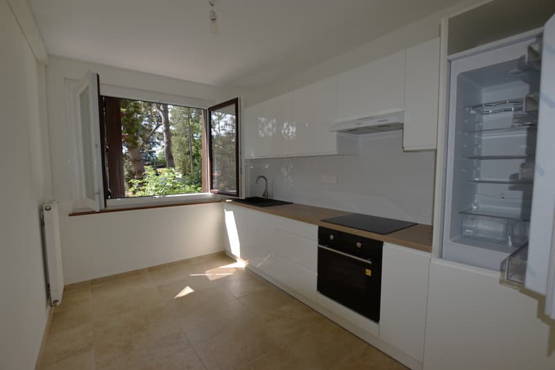 CHARMANT APPARTEMENT ENTIEREMENT RENOVE AU CENTRE DE VEIGY-FONCENEX (3)