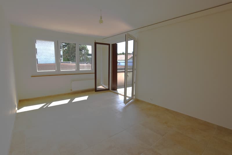 CHARMANT APPARTEMENT ENTIEREMENT RENOVE AU CENTRE DE VEIGY-FONCENEX (4)