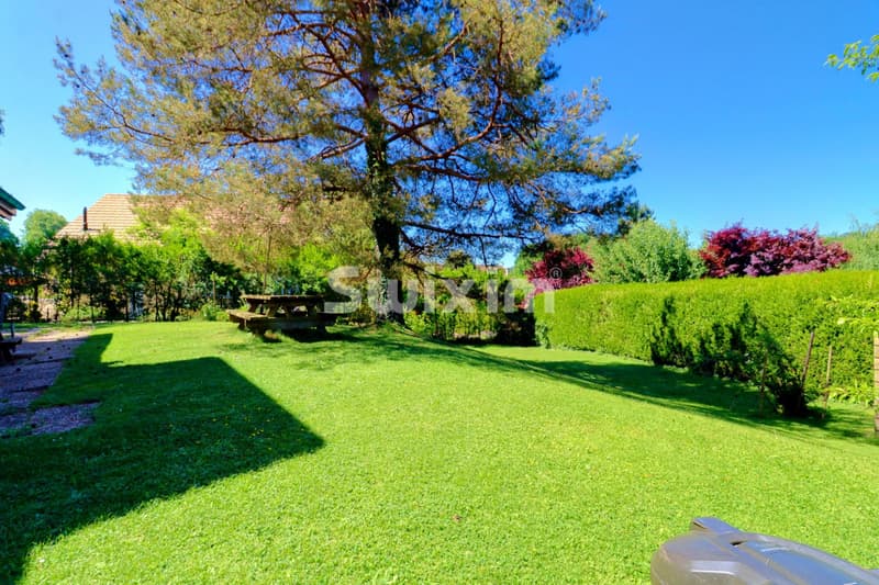 Un grand jardin verdoyant avec un arbre imposant et un espace détente extérieur.