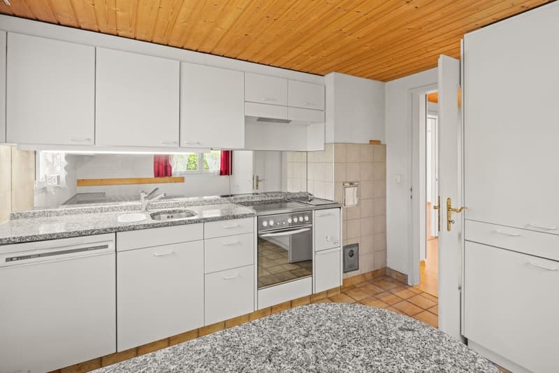 raus aus der Wohnung - rein ins eigene Haus (4)