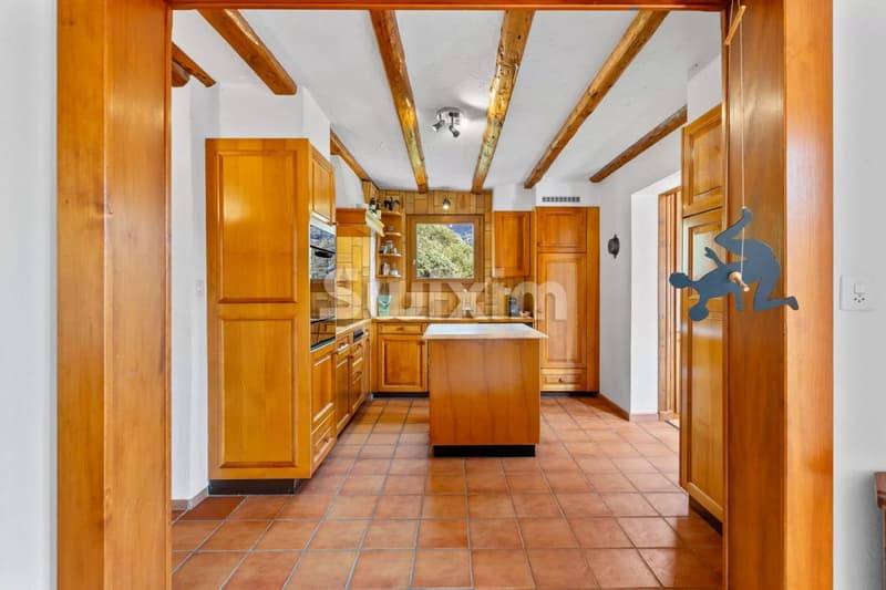 Villa individuelle familiale avec un vaste jardin ! (3)