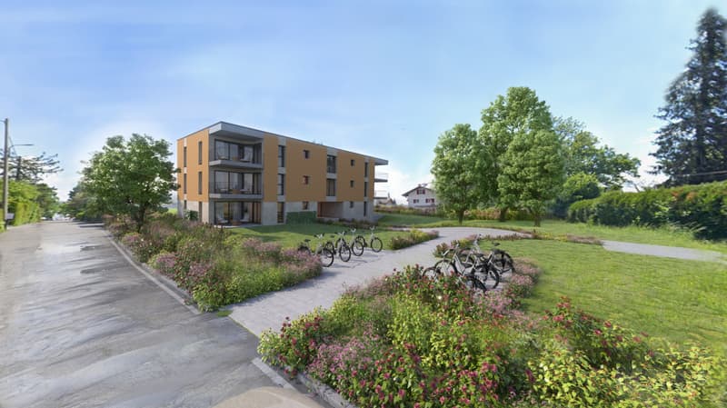 5P à Meyrin village - lot 4.01 (1)