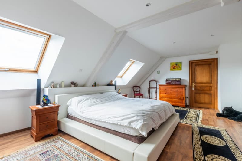Coup de coeur assuré pour cette maison d'exception à Hagenbach, en France ! (7)