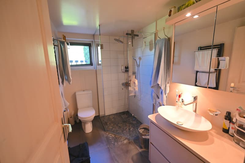 L'ETIVAZ - SUPERBE CHALET DE TROIS APPARTEMENTS (6)