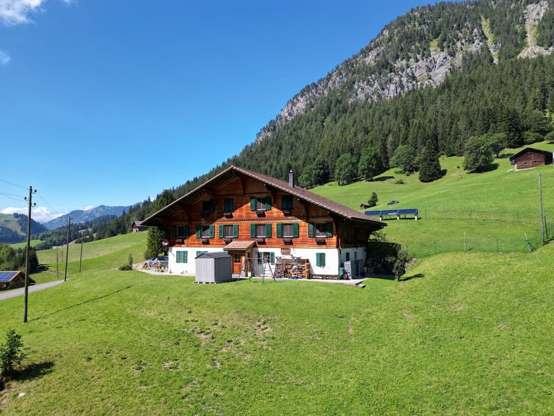 L'ETIVAZ - SUPERBE CHALET DE TROIS APPARTEMENTS (2)