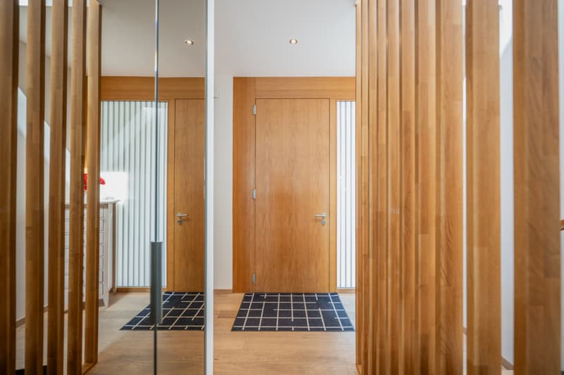EXCLUSIVITE IMMO2Z : Duplex en attique avec vue imprenable (5)