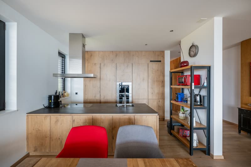EXCLUSIVITE IMMO2Z : Duplex en attique avec vue imprenable (7)