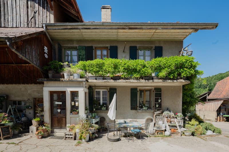 EXCLUSIVITE : Ancienne ferme avec potentiel de création de plusieurs logements (4)
