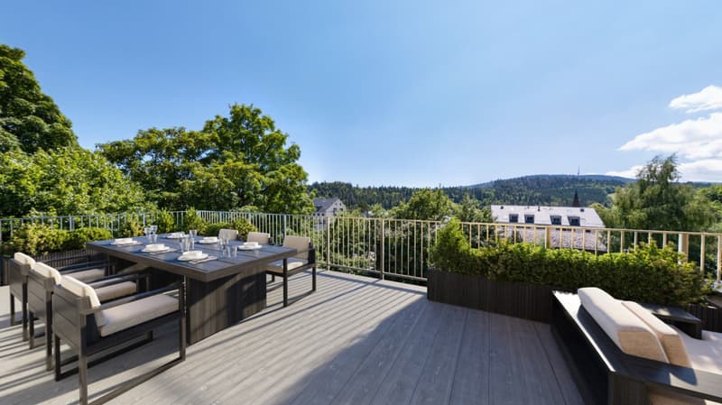 RARE- ATTIQUE DUPLEX D'EXCEPTION AVEC TERRASSE PANORAMIQUE ET ASCENSEUR (2)