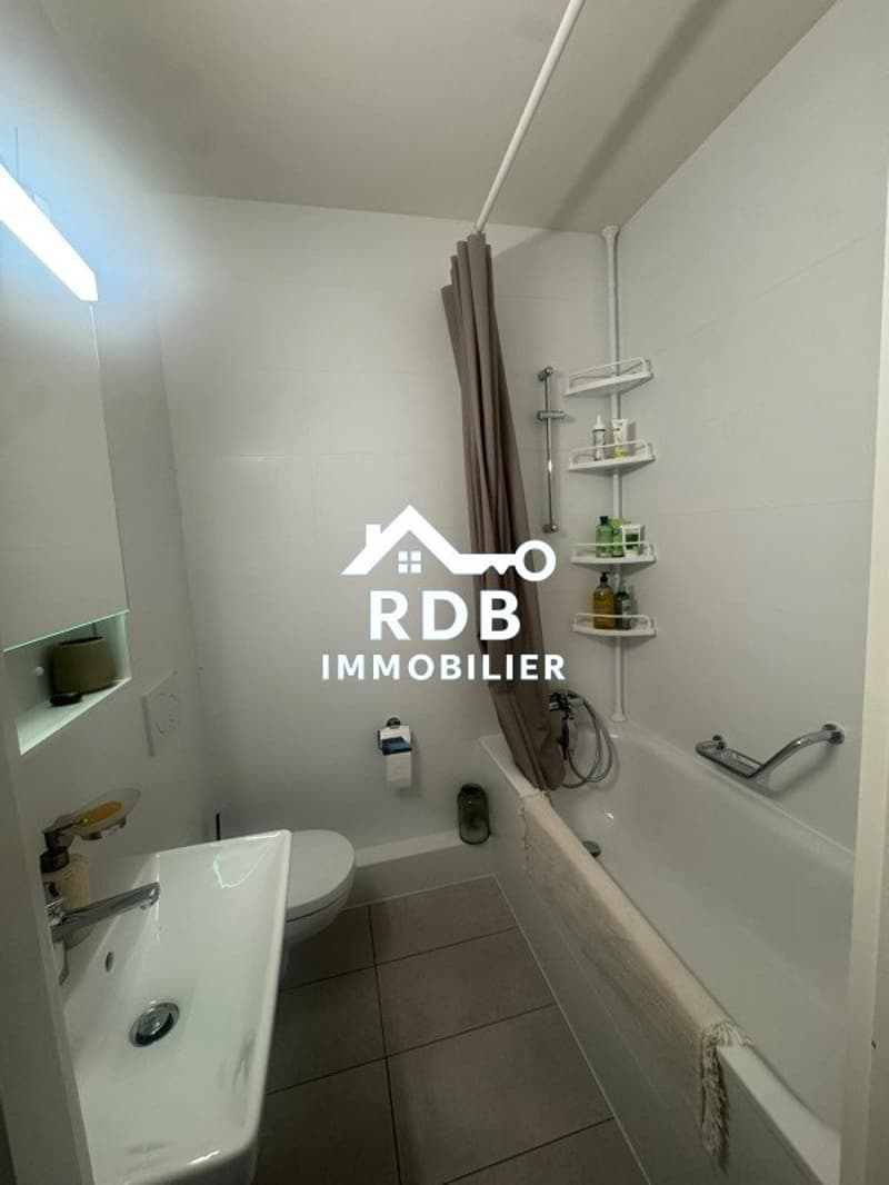 Appartement de 3 pièces au 5ème étage situé à Onex 1213 (6)