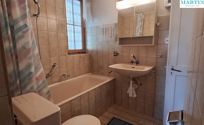 A VENDRE - BRAMOIS : En face du pont historique, 4.5 pièces avec jardin (7)