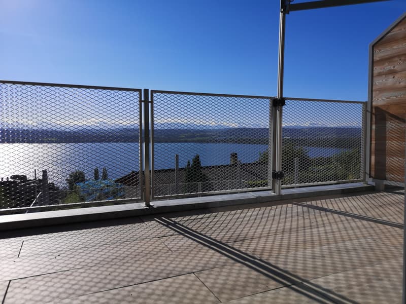 Duplex d'exception avec vue splendide sur le lac de Morat et les Alpes (2)