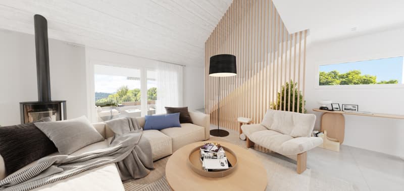 RARE- ATTIQUE DUPLEX D'EXCEPTION AVEC TERRASSE PANORAMIQUE ET ASCENSEUR (7)