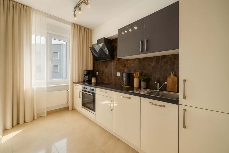 Appartement 4,5 pièces luxe (2)