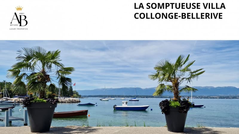 Elégante Villa familiale proche du lac et des plages de Collonge-Bellerive (1)