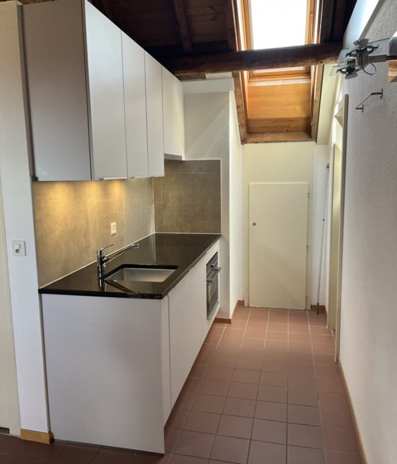 Très belle maison locative des années 30 , 3 appts, 582 m2 terrain (3)