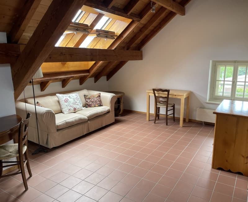 Très belle maison locative des années 30 , 3 appts, 582 m2 terrain (2)