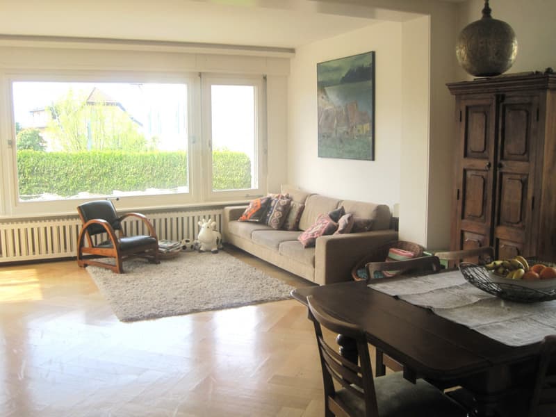 Très belle maison locative des années 30 , 3 appts, 582 m2 terrain (9)