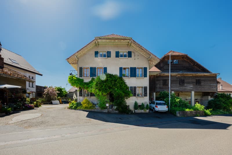 EXCLUSIVITE : Ancienne ferme avec potentiel de création de plusieurs logements (3)