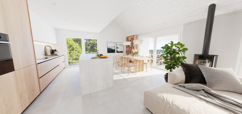 RARE- ATTIQUE DUPLEX D'EXCEPTION AVEC TERRASSE PANORAMIQUE ET ASCENSEUR (4)