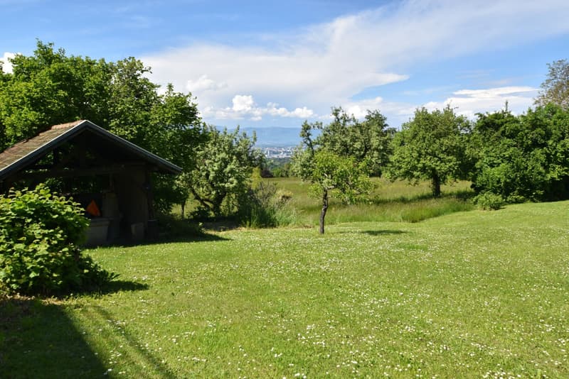 MAISON A RENOVER AVEC UNE 2E PARECELLE CONSTRUCTIBLE (2)