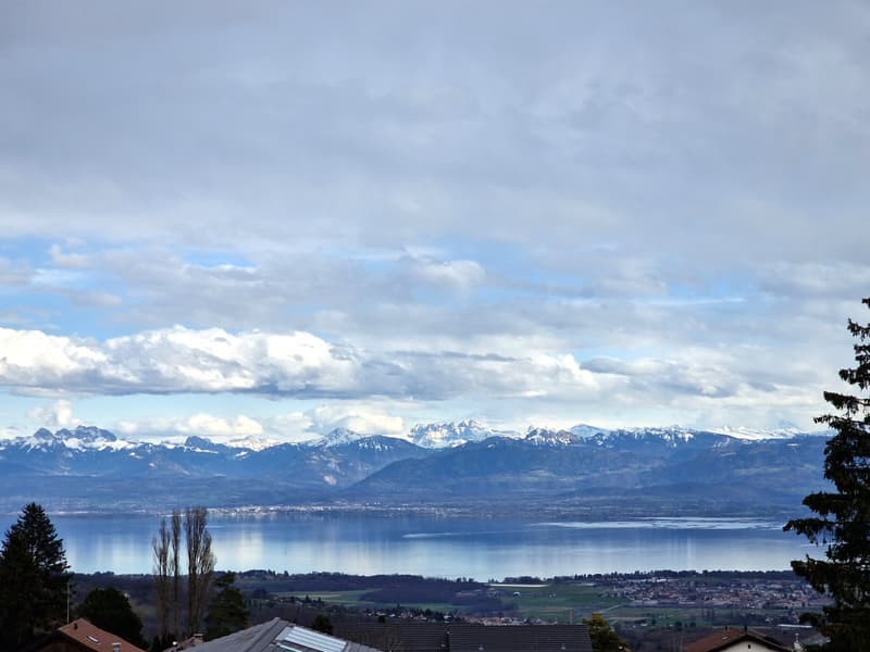 En Exclusivité: Beautiful Lake View Villa, Arzier, Abby Bryand immobilier (2)