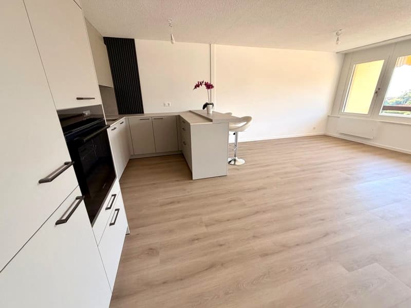 Tolochenaz Bel appartement familial dans une copropriété bien entretenue (13)