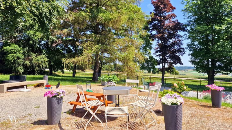 En exclusivité, Duplex vue lac et Mont-Blanc, centre Village à Arzier (12)