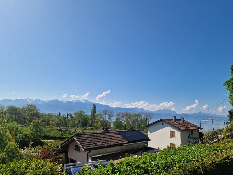Dernier lot disponible! Démarage des travaux imminent! Magnifique 3,5 pièces (5)