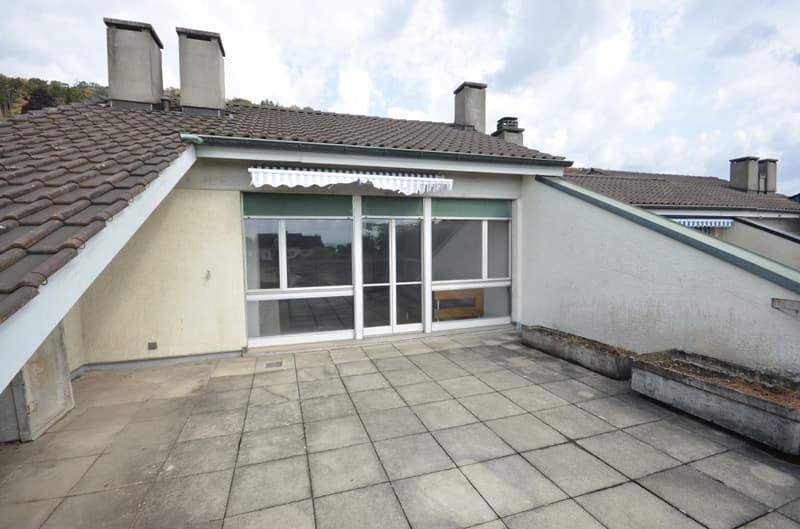 Magnifique duplex en attique (9)
