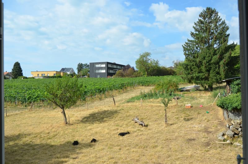 Magnifique duplex en attique (12)