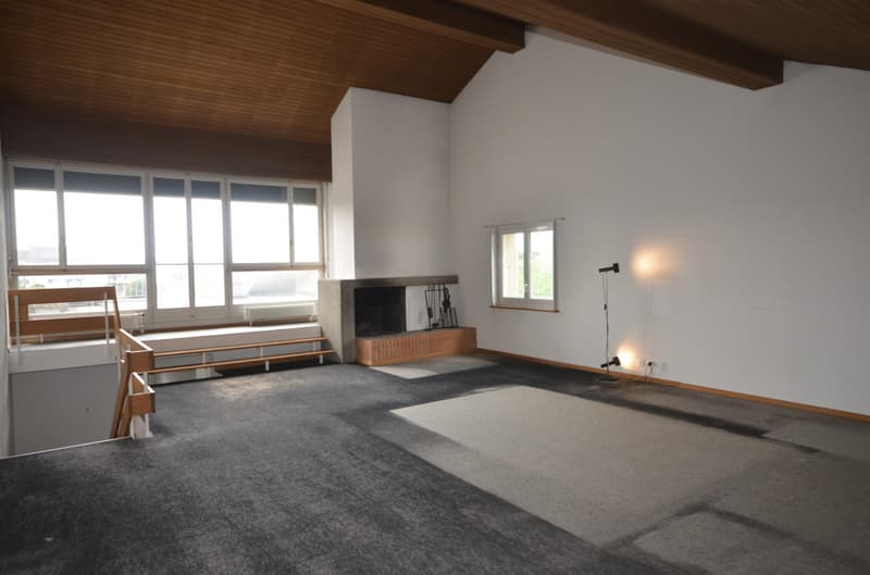 Magnifique duplex en attique (4)