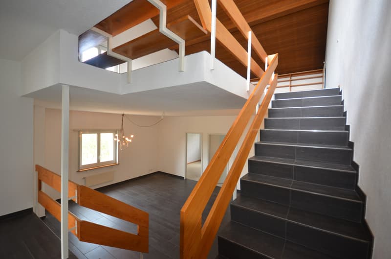 Magnifique duplex en attique (3)