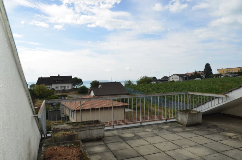 Magnifique duplex en attique (8)