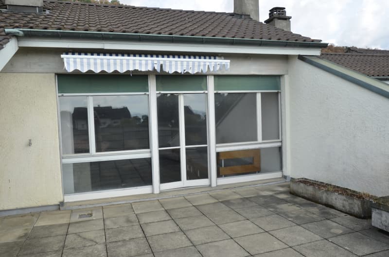 Magnifique duplex en attique (10)