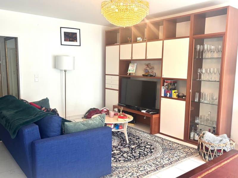 Très beau 5.5 pièces entièrement meublé avec balcon au Petit-Saconnex/Genève (4)