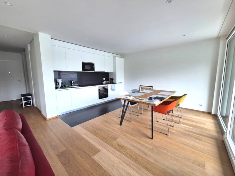 Magnifique 4 pièces neuf avec vaste terrasse zone résidentielle Cologny/Gradelle (2)