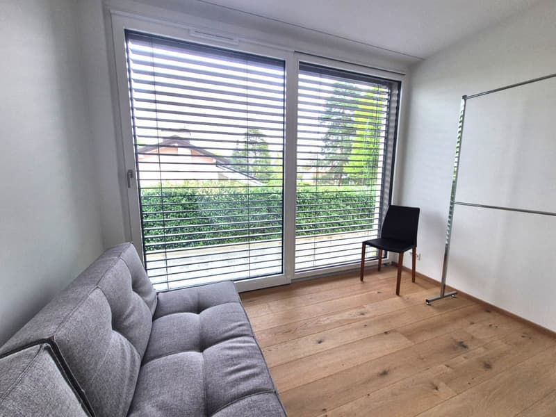 Magnifique 4 pièces neuf avec vaste terrasse zone résidentielle Cologny/Gradelle (8)