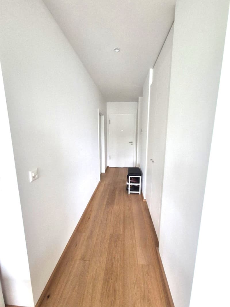 Magnifique 4 pièces neuf avec vaste terrasse zone résidentielle Cologny/Gradelle (11)