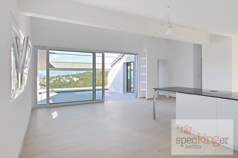 Lumineux appartement de 5,5 pièces, terrasse, très belle vue lac (2)
