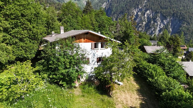 Chalet mitoyen avec cachet dans un environnement paisible et verdoyant (11)